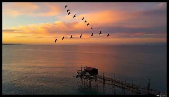 Malo' Rooms Termoli Exteriér fotografie